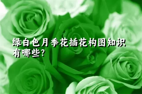 绿白色月季花插花构图知识有哪些？