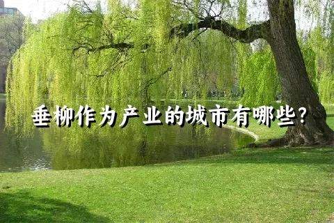 垂柳作为产业的城市有哪些？