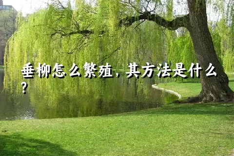 垂柳怎么繁殖，其方法是什么？