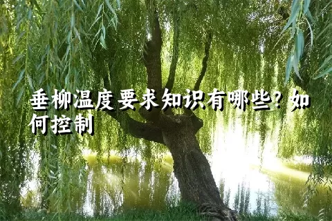 垂柳温度要求知识有哪些？如何控制