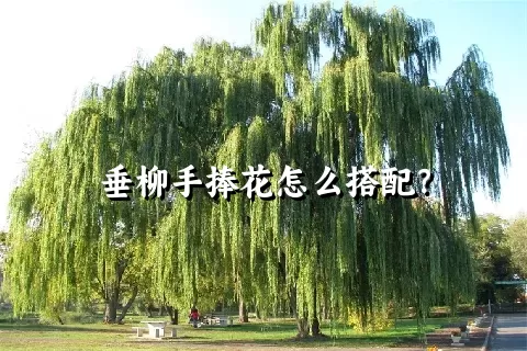 垂柳手捧花怎么搭配？