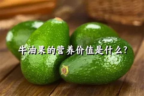 牛油果的营养价值是什么?
