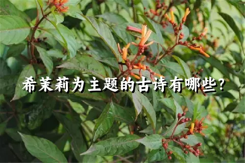 希茉莉为主题的古诗有哪些？