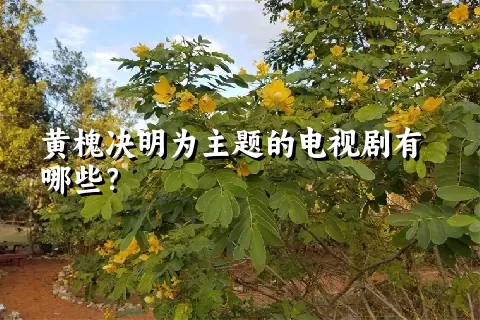 黄槐决明为主题的电视剧有哪些？