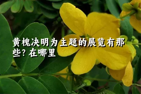 黄槐决明为主题的展览有那些？在哪里