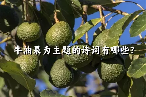 牛油果为主题的诗词有哪些？