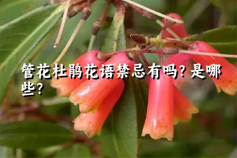 管花杜鹃花语禁忌有吗？是哪些？