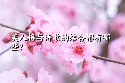 美人梅与诗歌的结合都有哪些？