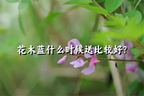 花木蓝什么时候送比较好？