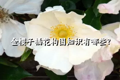 金樱子插花构图知识有哪些？