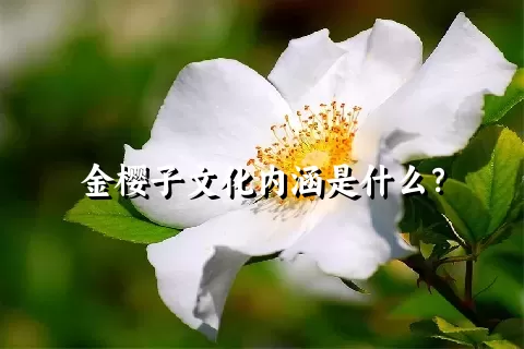 金樱子文化内涵是什么？