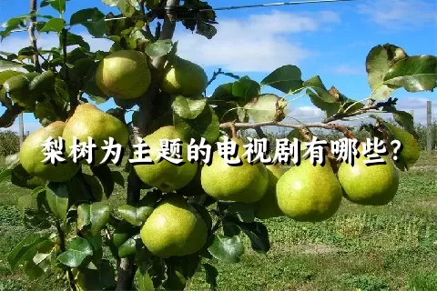 梨树为主题的电视剧有哪些？