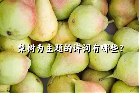 梨树为主题的诗词有哪些？