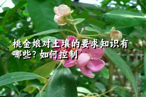 桃金娘对土壤的要求知识有哪些？如何控制