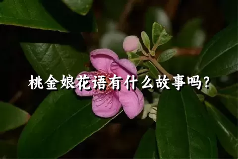 桃金娘花语有什么故事吗？