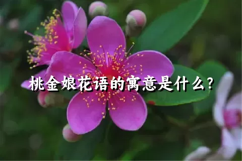 桃金娘花语的寓意是什么？