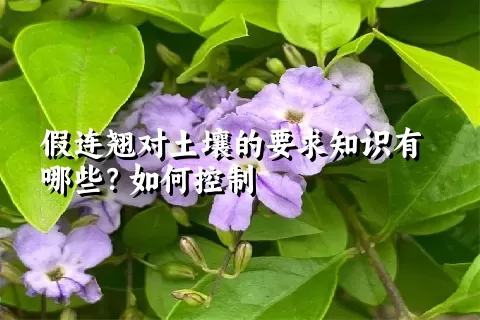 假连翘对土壤的要求知识有哪些？如何控制