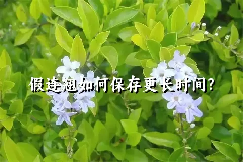 假连翘如何保存更长时间？