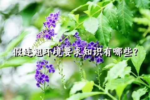 假连翘环境要求知识有哪些？