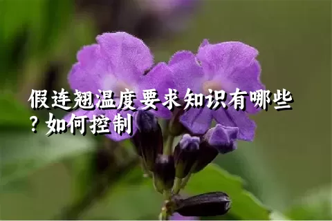 假连翘温度要求知识有哪些？如何控制