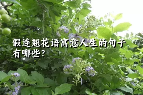 假连翘花语寓意人生的句子有哪些？