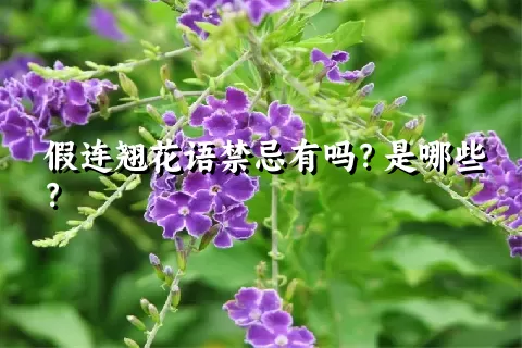 假连翘花语禁忌有吗？是哪些？