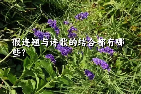 假连翘与诗歌的结合都有哪些？