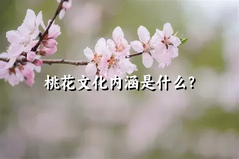 桃花文化内涵是什么？