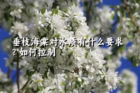 垂枝海棠对水质有什么要求？如何控制