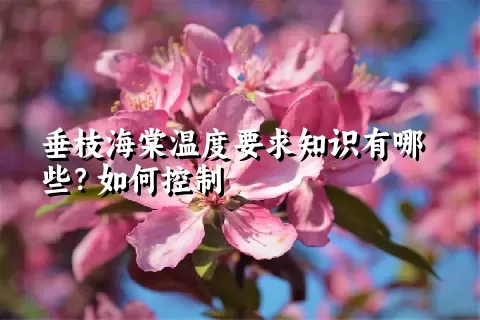 垂枝海棠温度要求知识有哪些？如何控制