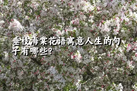 垂枝海棠花语寓意人生的句子有哪些？