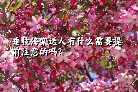 垂枝海棠送人有什么需要提前注意的吗？