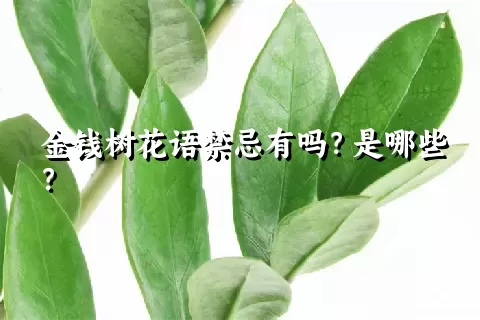 金钱树花语禁忌有吗？是哪些？