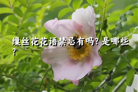 缫丝花花语禁忌有吗？是哪些？