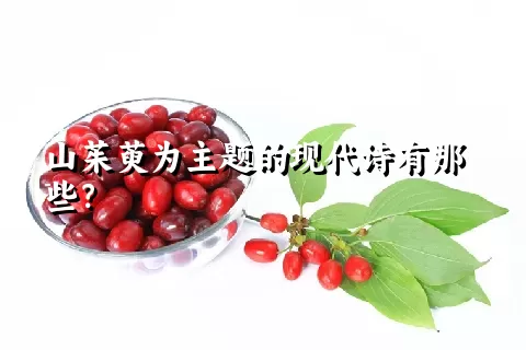 山茱萸为主题的现代诗有那些？