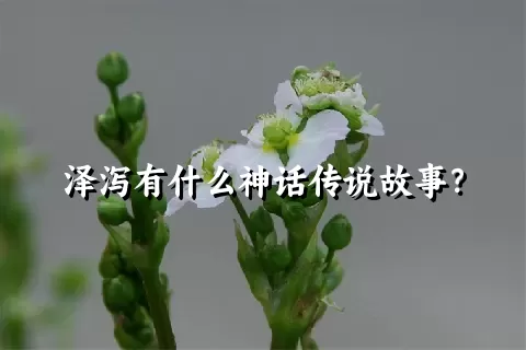 泽泻有什么神话传说故事？
