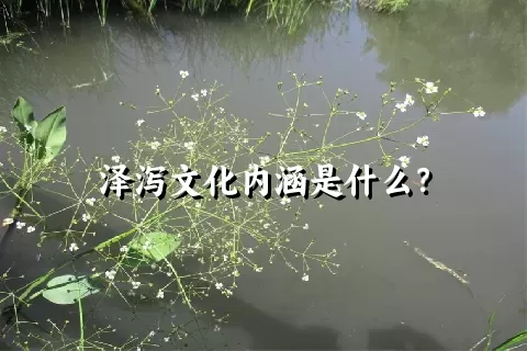 泽泻文化内涵是什么？