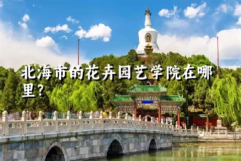 北海市的花卉园艺学院在哪里？