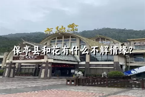 保亭县和花有什么不解情缘？