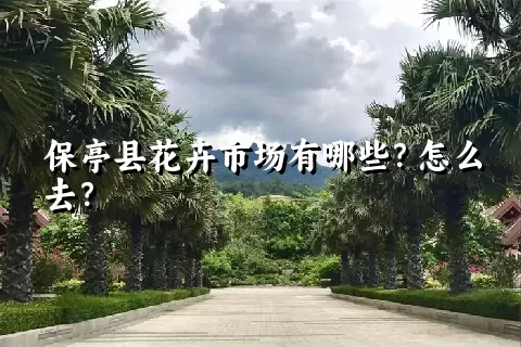 保亭县花卉市场有哪些？怎么去？