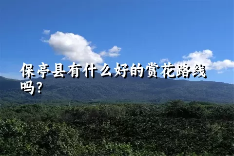 保亭县有什么好的赏花路线吗？