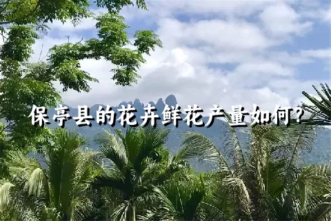 保亭县的花卉鲜花产量如何？