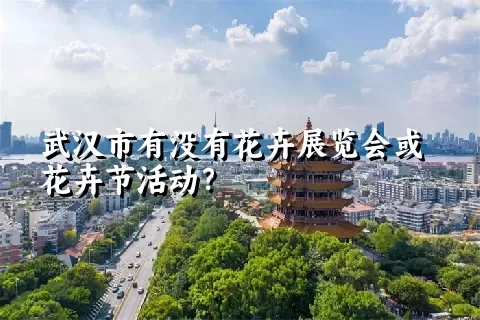 武汉市有没有花卉展览会或花卉节活动？