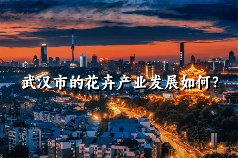 武汉市的花卉产业发展如何？