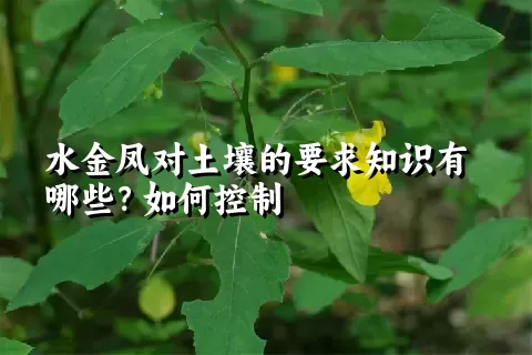 水金凤对土壤的要求知识有哪些？如何控制