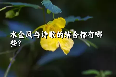 水金凤与诗歌的结合都有哪些？