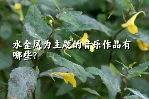 水金凤为主题的音乐作品有哪些？