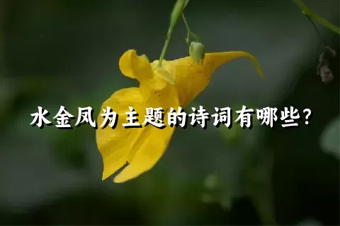 水金凤为主题的诗词有哪些？
