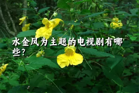 水金凤为主题的电视剧有哪些？