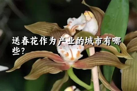 送春花作为产业的城市有哪些？